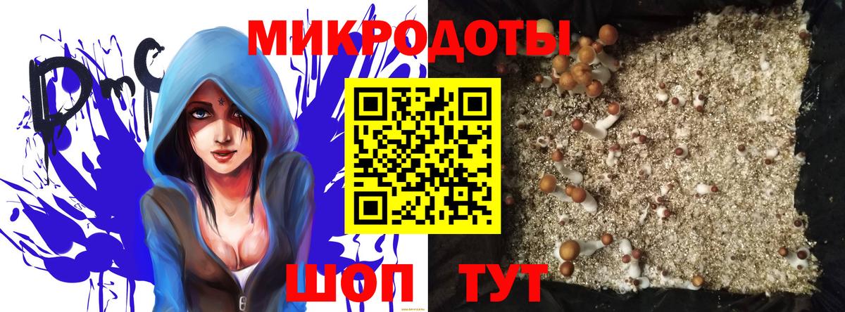 Псилоцибиновые грибы Psilocybe Невинномысск