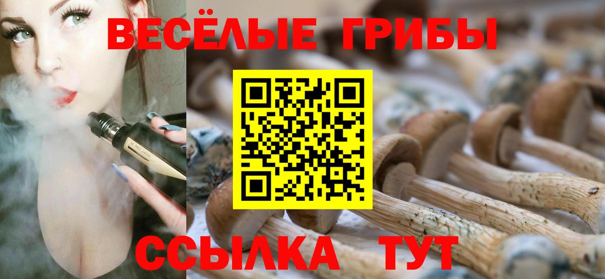 Галлюциногенные грибы Psilocybe  Вход с VPN  Псилоцибиновые грибы MAGIC MUSHROOMS  Невинномысск 